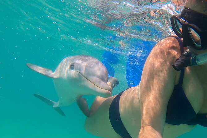 Private Reef, Beach and Sandbar Tour from Providenciales - Price and what it really covers per group
