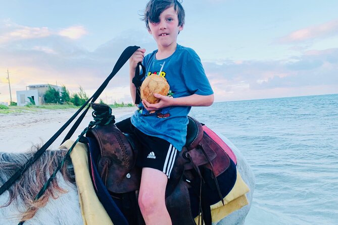 Shared Horseback Riding in Turks and Caicos - Guided Riding, Horse Care Lessons, and Why the Small Group Matters