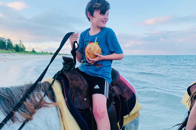 Shared Horseback Riding in Turks and Caicos - Price, Inclusions, and Whether $210 Is Good Value