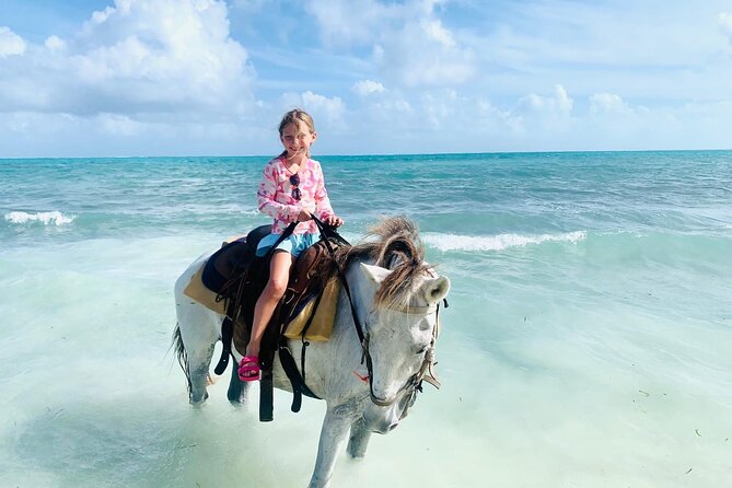 Shared Horseback Riding in Turks and Caicos - The Beach Ride Itself, From Mounting to Shallow-Water Trot