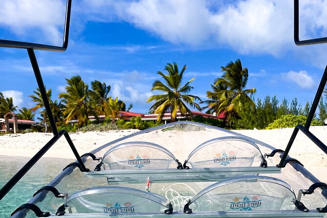 Sip & Sea Mangrove Glass Boat Tour Grand Turk Island - Key things you will actually notice on this tour