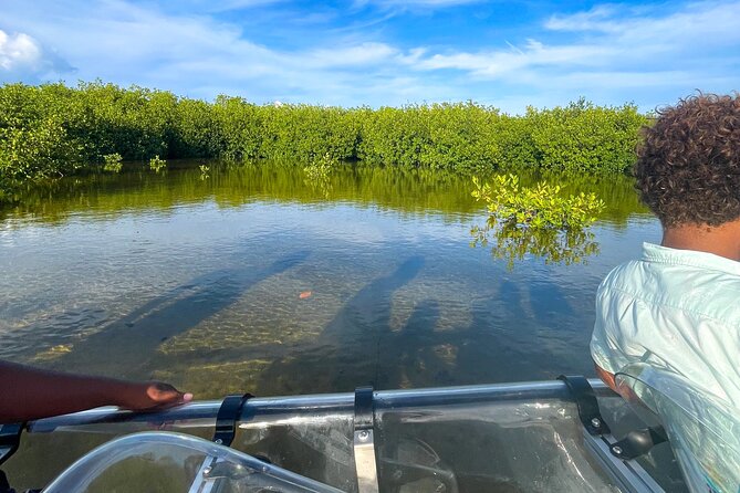 Sip & Sea Mangrove Glass Boat Tour Grand Turk Island - The 1852 Grand Turk Lighthouse: Atlantic views and a maritime time capsule