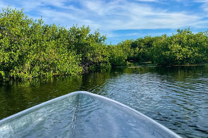 Sip & Sea Mangrove Glass Boat Tour Grand Turk Island - Price and value at $105 per person: what you are paying for