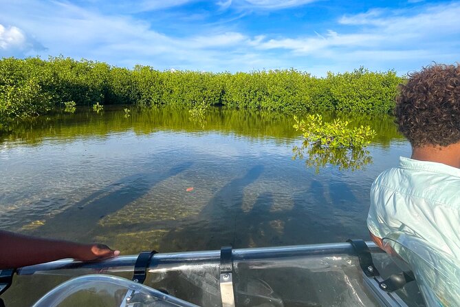 Sip & Sea Mangrove Glass Boat Tour Grand Turk Island - When to go and what the weather can change