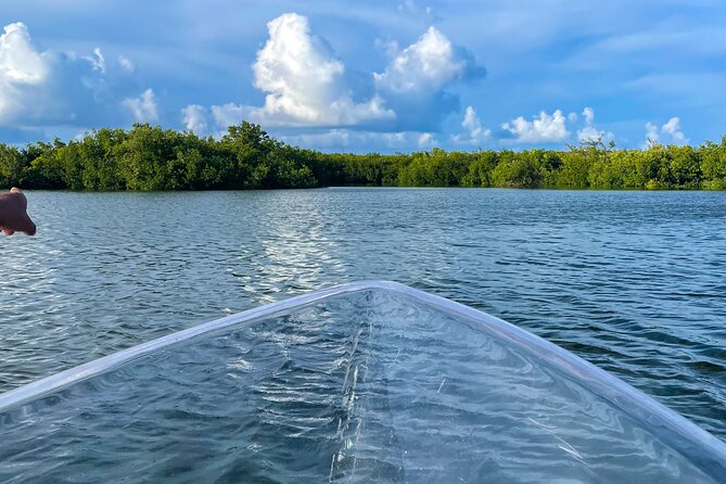 Sip & Sea Mangrove Glass Boat Tour Grand Turk Island - Should you book Sip & Sea Mangrove Glass Boat Tour on Grand Turk?