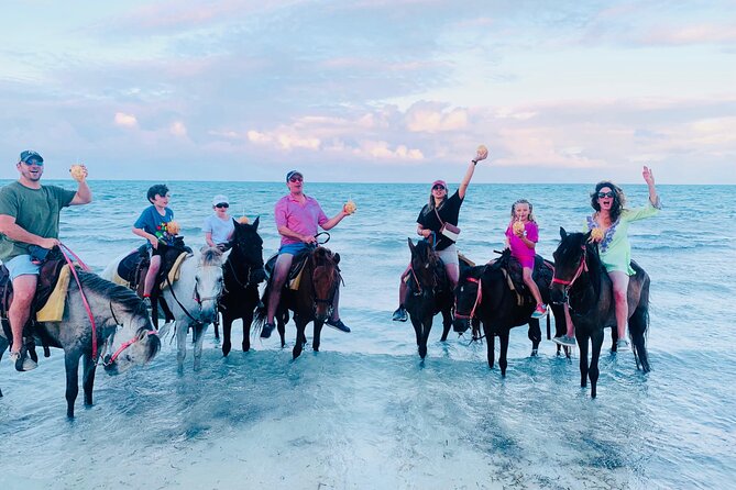 Small Group Horseback Riding Adventure in Caicos Islands - Quick hits for this Caicos beach ride