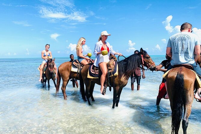 Small Group Horseback Riding Adventure in Caicos Islands - Getting there: shuttle pickup, meet point, and the pre-ride flow