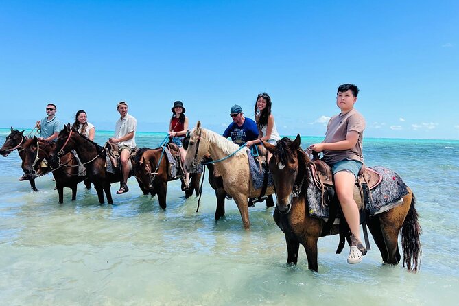 Small Group Horseback Riding Adventure in Caicos Islands - Horses and safety coaching: what to expect if you’re a first-timer