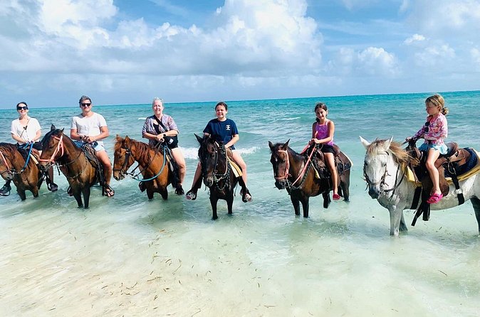Small Group Horseback Riding Adventure in Caicos Islands - What’s included, what’s not, and how that affects your budget