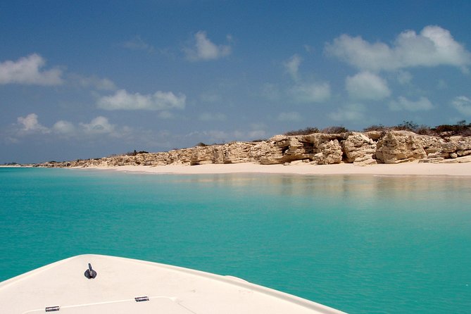 Snorkel Eco Tour - Why this 4-hour eco snorkel is a smart choice in Providenciales
