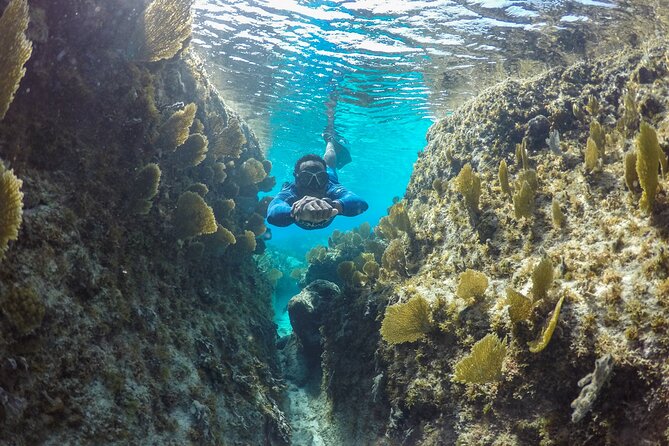 Snorkel Eco Tour - How $366 per person can feel reasonable, if you value small-group guidance
