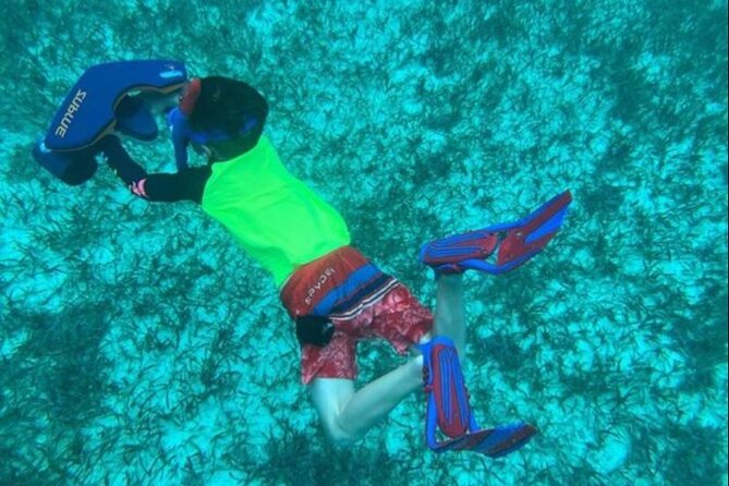 Snorkeling with Sea Scooters and Sea Adventure - Offshore - When This Tour Might Not Match Your Expectations