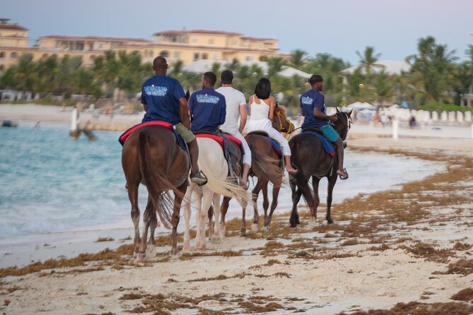 Spectacular Private Beach & Ocean Ride in Providenciales - Where the Tour Starts: Blue Hills Meeting Point and Pickup