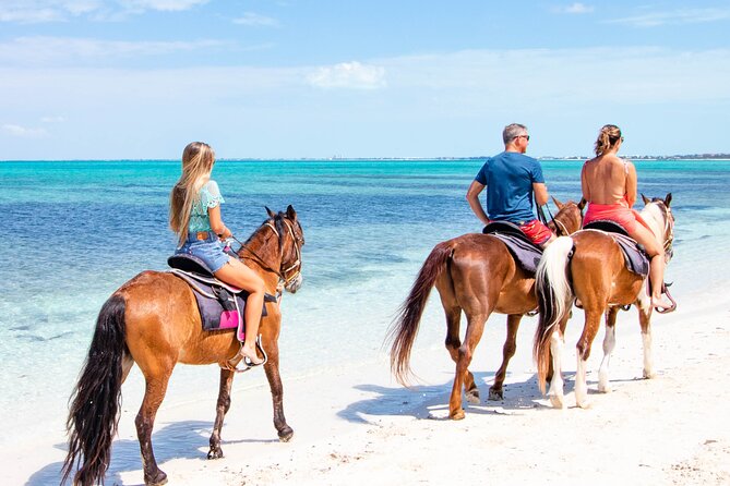 Spectacular Private Beach & Ocean Ride in Providenciales - Your 1-Hour Flow: From Getting Mounted to Returning Wet
