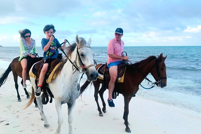 Sunset Horse Ride Experience - Who this horseback sunset ride fits best