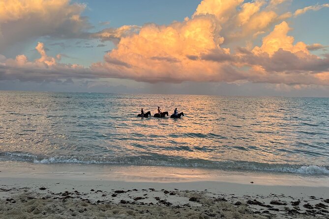 Sunset Horse Ride Experience - A couple of practical things to pack and plan