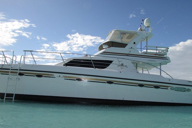 Turks and Caicos Full-Day Luxury Private Yacht Charter - Key points to know before you sail