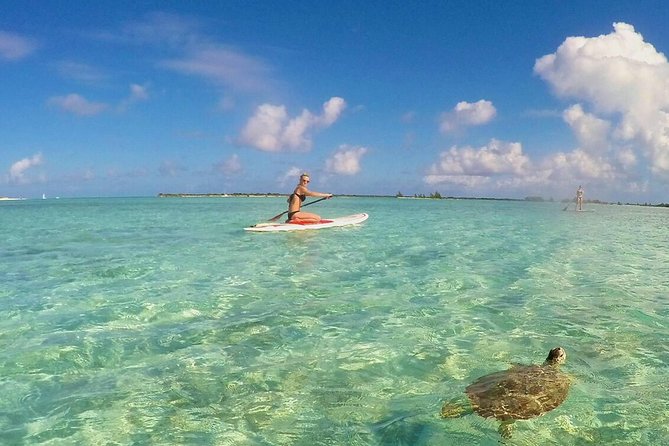 Turtle Eco Tour on Stand-Up Paddleboards or Kayaks into the National Marine Park - Key things I’d mark on your map