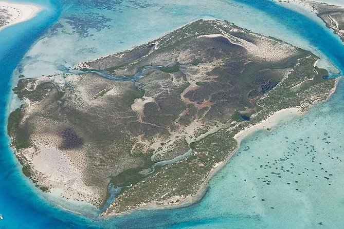 Turtle Eco Tour on Stand-Up Paddleboards or Kayaks into the National Marine Park - Wildlife spotting tips that actually help you see turtles and rays