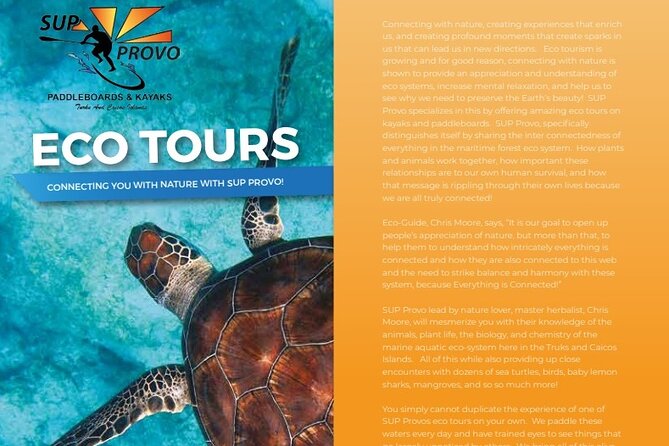 Turtle Eco Tour on Stand-Up Paddleboards or Kayaks into the National Marine Park - Getting started at Caribbean Cruisin: how the morning setup works