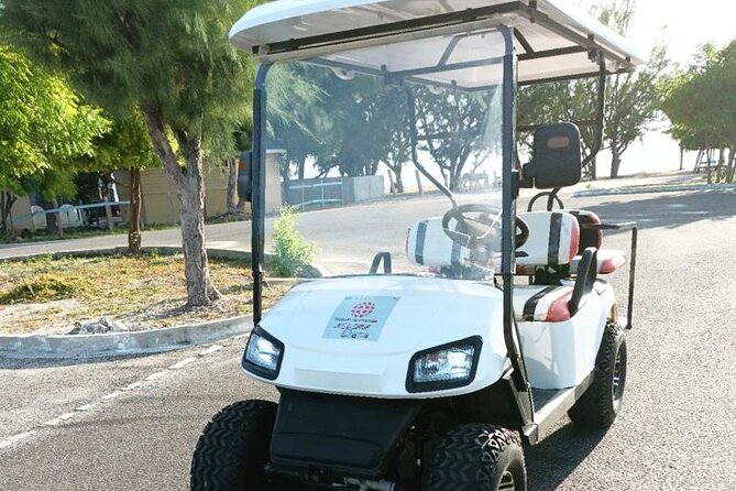 Watkins UTV American Golf Cart Rentals - Quick hits you should know