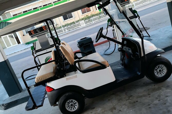 Watkins UTV American Golf Cart Rentals - Who this works best for